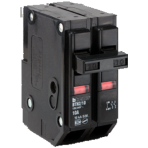 INTERRUPTOR TERMOMAG 2X20