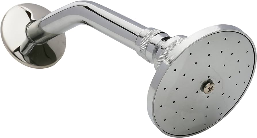 REGADERA C/BRAZO URREA 298B