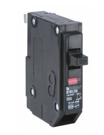 INTERRUPTOR TERMOMAG 1X60